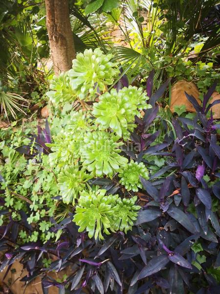 Foto 062443fb-9991-49bf-ae6e-96c49209f3ea. Chalet  con vistas al estrecho en San García Algeciras