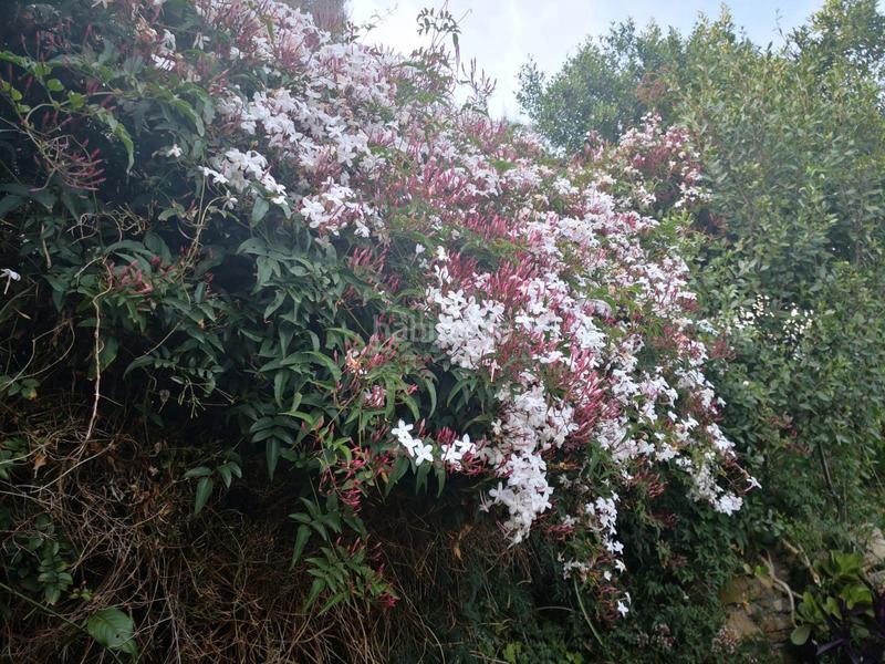 Foto 1829682e-6b93-43f3-8b0b-e0f0701ac70d. Chalet  con vistas al estrecho en San García Algeciras