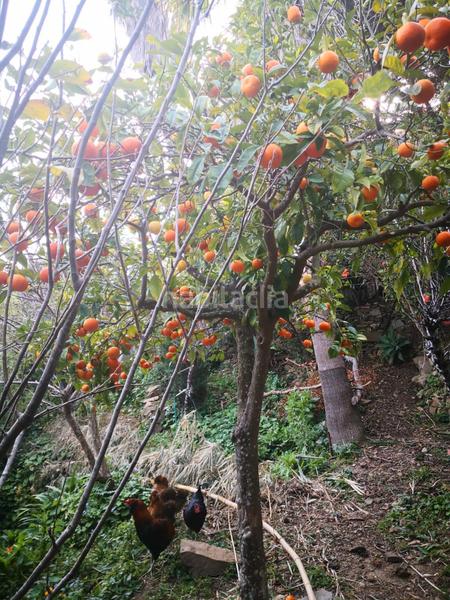 Foto 79031895-26fd-423d-a660-ccac9fbc4eea. Chalet  con vistas al estrecho en San García Algeciras