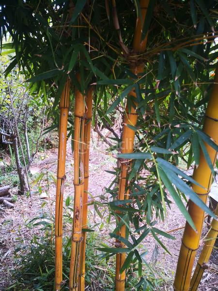 Foto 92f1a5ca-dffe-40d3-918d-2a8e75f14deb. Chalet  con vistas al estrecho en San García Algeciras