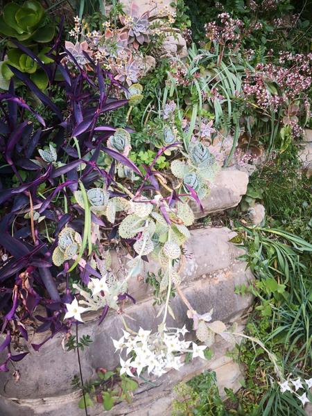 Foto c1ad6dfd-093e-4351-bda1-41f70ec486d5. Chalet  con vistas al estrecho en San García Algeciras