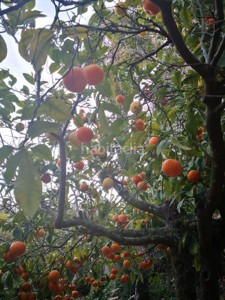 Foto d648bd94-999e-4a93-b8bd-9ff013de8b57. Chalet  con vistas al estrecho en San García Algeciras