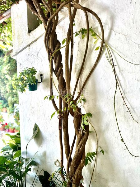 Foto 1cd26a52-82c7-494b-aba0-70edee51be0d. Chalet mit parking pool in La Granja - La Colina - Los Pastores Algeciras