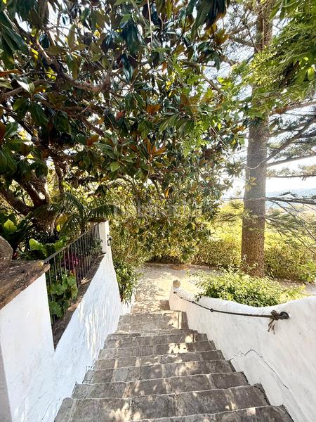 Foto 802b8ff7-72e0-4772-be89-d1bc10bcad61. Chalet mit parking pool in La Granja - La Colina - Los Pastores Algeciras