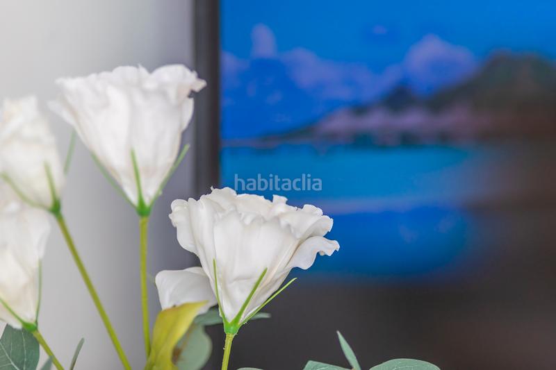 Foto 9e2e7d90-d799-471e-9d3b-2bb298d6946a. Appartamento con piscina in Tarifa ciudad Tarifa