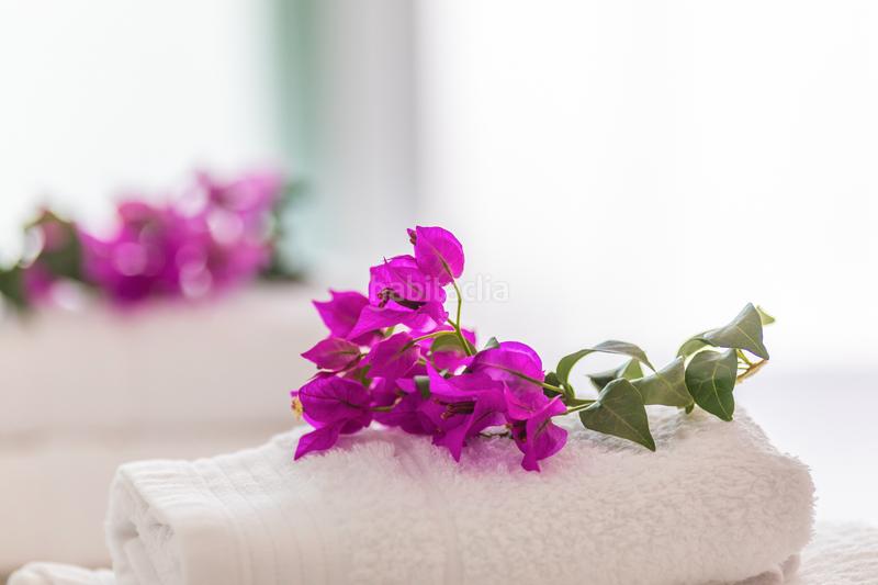 Foto faf05488-2218-45ef-9544-58afd632adf4. Appartamento con piscina in Tarifa ciudad Tarifa