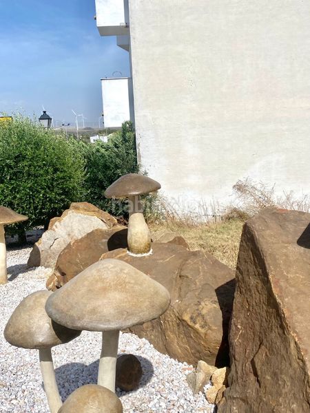 Foto 8a6d6e59-07e4-470a-8032-f84e85434b35. Rent flat in Facinas Tarifa