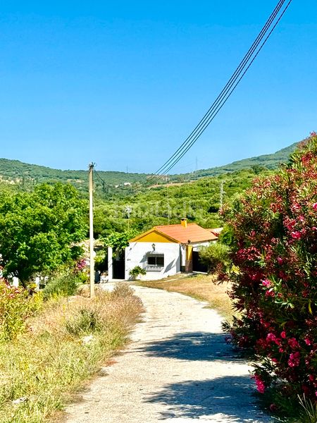 Foto f32b19a9-05d6-452c-9866-96ba133f6c23. Lloguer casa amb xemeneia aparcament a Facinas Tarifa