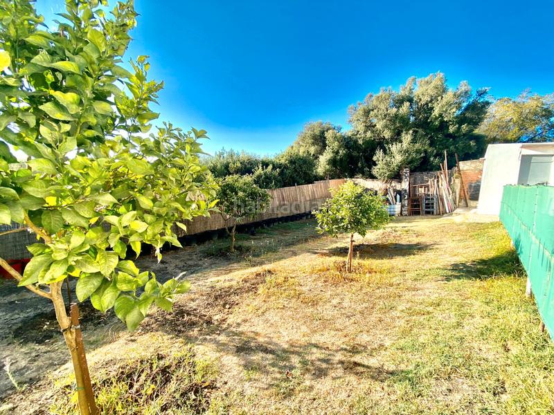 Foto 2545cb88-af83-4e2a-b43f-1b95eb3cc9e8. Masia a Tarifa ciudad Tarifa