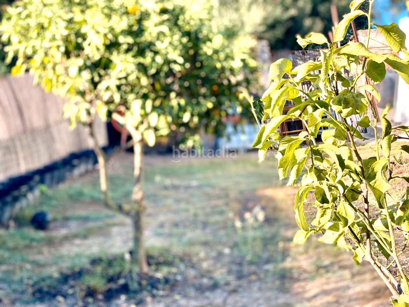 Foto c6a582c0-1345-48cc-a967-5c68f1199c28. Masia a Tarifa ciudad Tarifa