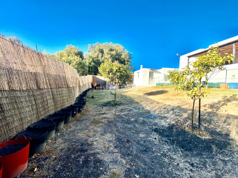 Foto e1312c43-55a6-4dfb-b9fa-511ec1978336. Masia a Tarifa ciudad Tarifa