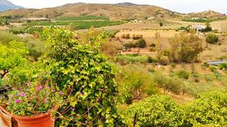 Finca rústica a Casarabonela. Preciosa finca de 1 hectárea con casa