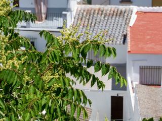 Maison à Casarabonela. Para hacerte un hogar