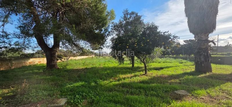 Foto 66b75ec8-fb2c-4e23-8a4b-4713a74c6923. Casa a Manacor centre Manacor