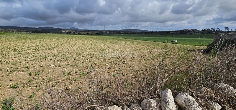 Foto 595ba0cb-5101-4865-9ee5-f808b9ffdcb7. Masia a Manacor centre Manacor