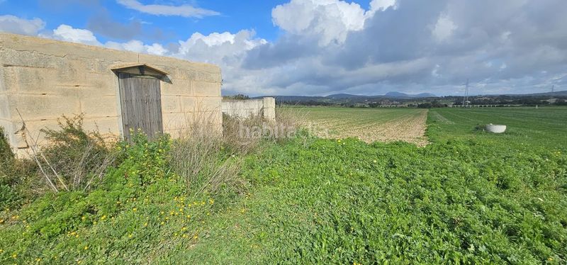 Foto 7cc086d1-c6e3-4f4e-8394-9522965691c6. Masia a Manacor centre Manacor
