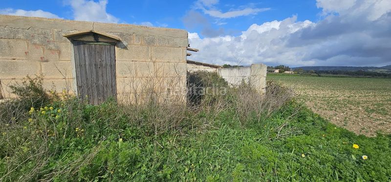 Foto cb3cdf2a-2769-48f4-b535-65d610727810. Masia a Manacor centre Manacor