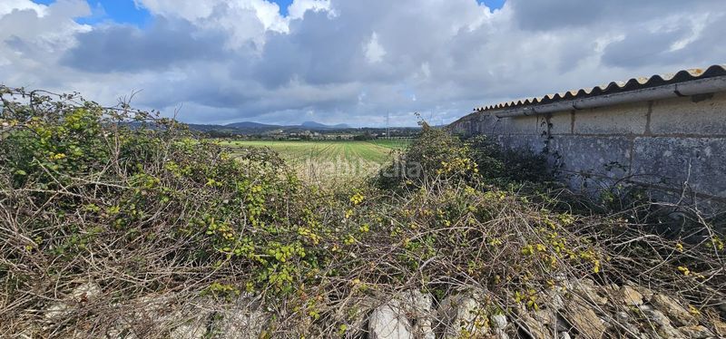 Foto ef2ac539-a09a-4324-84d7-683990a2d4b3. Masia a Manacor centre Manacor