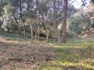 Affitto Terreno residenziale in Sant Pere de Vilamajor. Terreno en la urbanización can vila