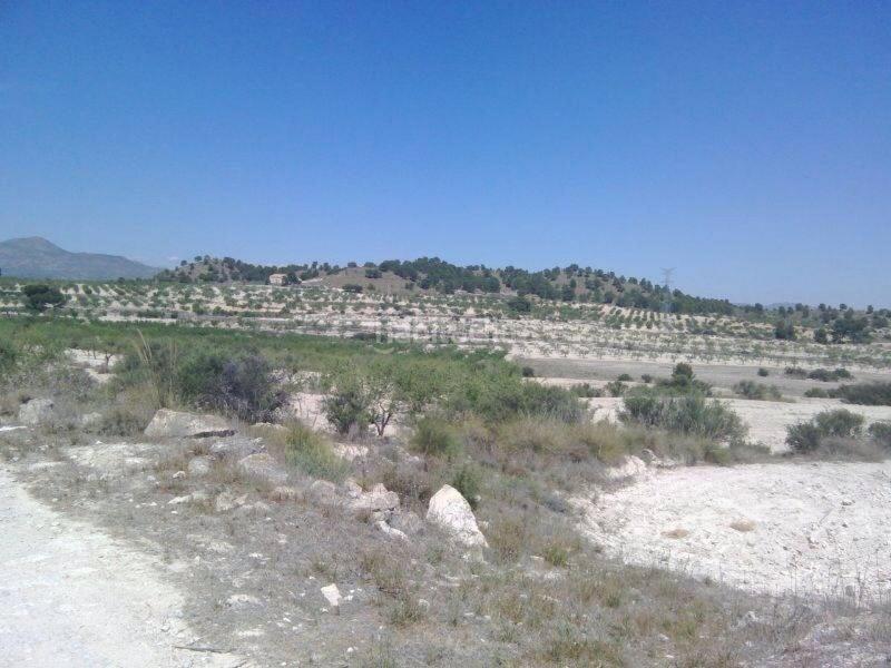 Foto 31bac2fc-bc61-40c0-be81-ff08029d903c. Landgut in Moratalla