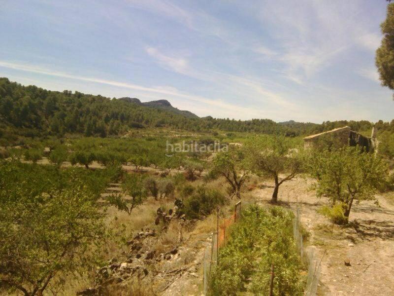 Foto 41a234d9-4614-442b-9e45-108b88934d01. Landgut in Moratalla