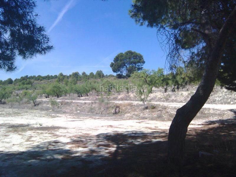 Foto 70c19951-5ed7-4c3f-8679-9a9be9db98b1. Landgut in Moratalla