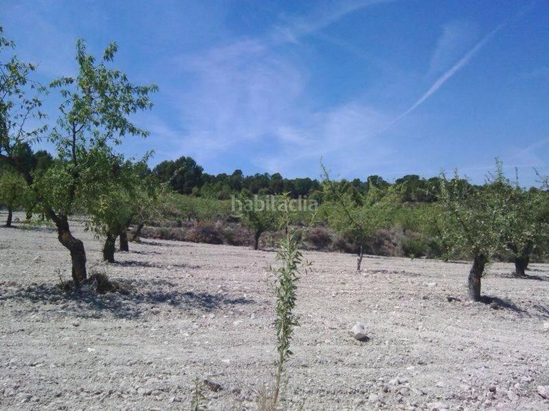 Foto 946d4640-6814-4c88-8400-29a185a48311. Landgut in Moratalla