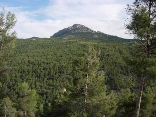 Finca rústica a Moratalla. Finca rustica con casas y almendros en producción en moratalla