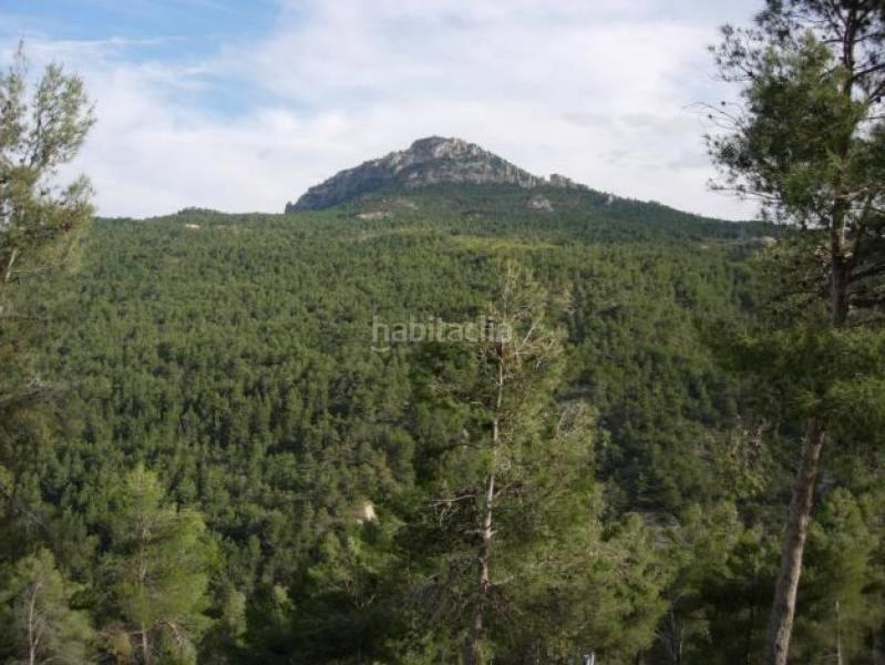 Foto be7e8b50-6ae4-4005-9968-3cd1e4957250. Landgut in Moratalla