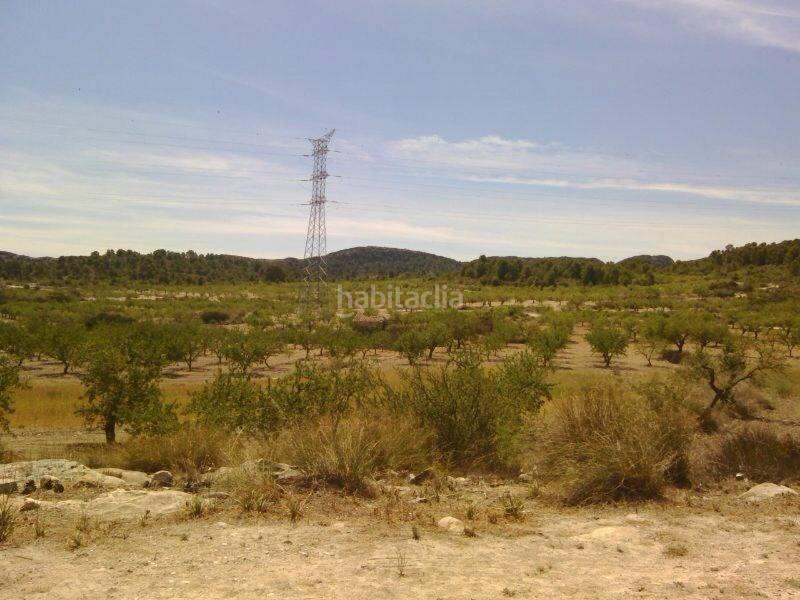 Foto c0815693-eac8-4c39-ba2c-9e5a284f59f6. Landgut in Moratalla