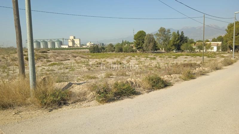 Foto a968b21d-4c3c-4291-9922-916278cad384. Fondo rustico in Alhama de Murcia ciudad Alhama de Murcia