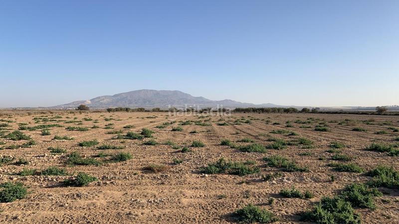 Foto 16e12ed7-fe6b-4455-8587-ffa0f3f6acdc. Rural plot in Condado de Alhama Alhama de Murcia