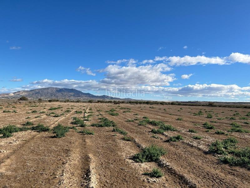 Foto 3c07c077-2b76-41fc-af8e-da0f8c0fb5f1. Rural plot in Condado de Alhama Alhama de Murcia