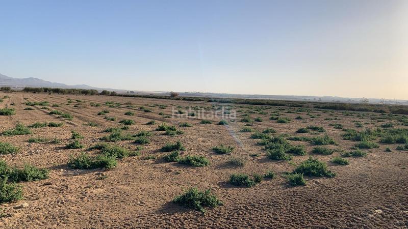 Foto 44911aa4-af19-48b0-9c70-92d9ec0f0f39. Rural plot in Condado de Alhama Alhama de Murcia