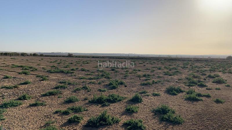 Foto 601f9d1e-f25c-4649-be36-b1a6d24e6e4d. Rural plot in Condado de Alhama Alhama de Murcia