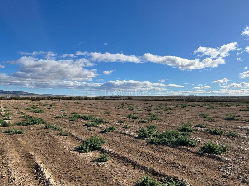 Foto 7e99295b-3a49-4d2d-ac5e-e7c45329086d. Rural plot in Condado de Alhama Alhama de Murcia