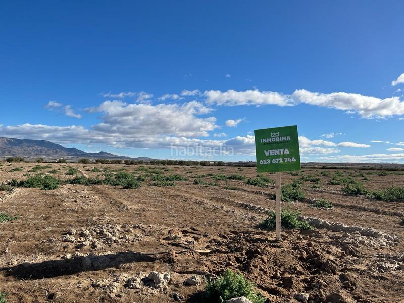 Foto 9241d741-0077-463e-9f6d-f06e87095781. Rural plot in Condado de Alhama Alhama de Murcia