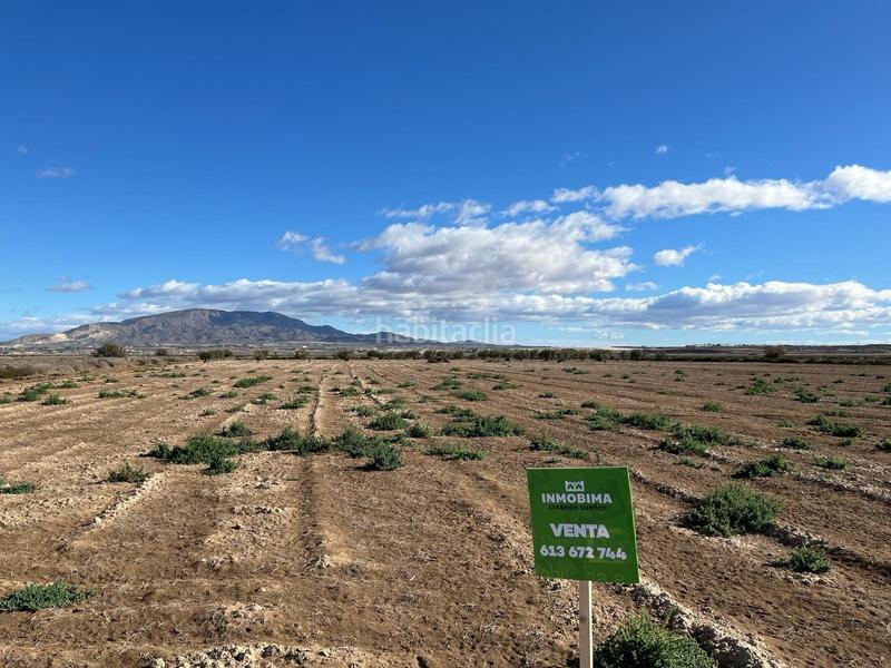 Foto 99996985-1fca-4f7d-9dd7-96a7398baed0. Rural plot in Condado de Alhama Alhama de Murcia