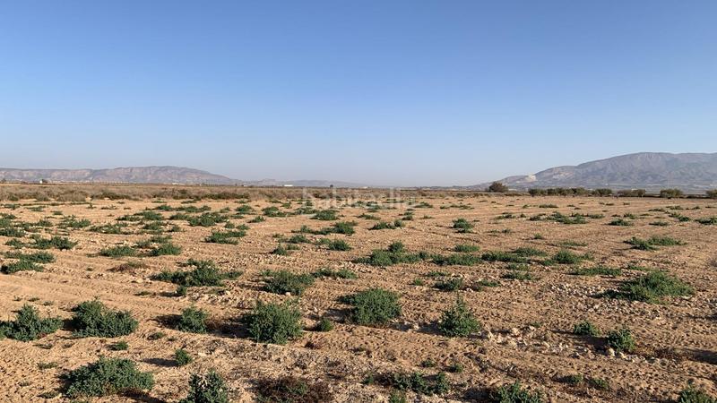 Foto a89b5feb-635c-4ecb-80f3-7f5a4e884c25. Rural plot in Condado de Alhama Alhama de Murcia