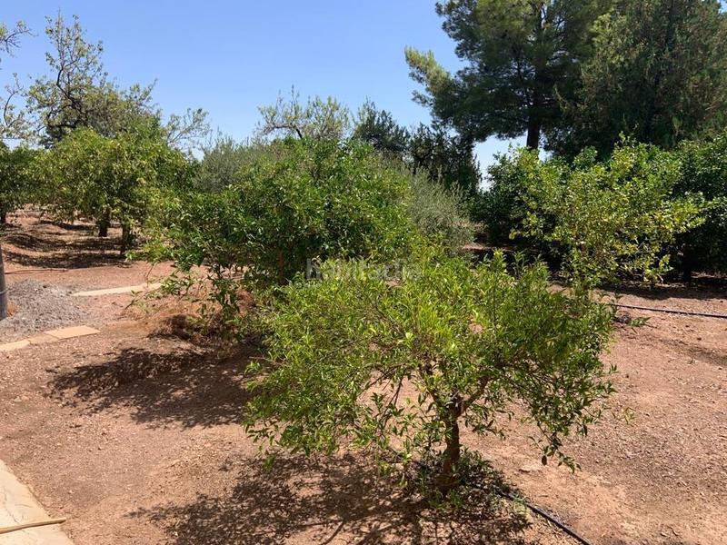 Foto b77665c2-c036-4d43-854c-5f53d2f0417c. Chalet avec parking piscine dans Totana