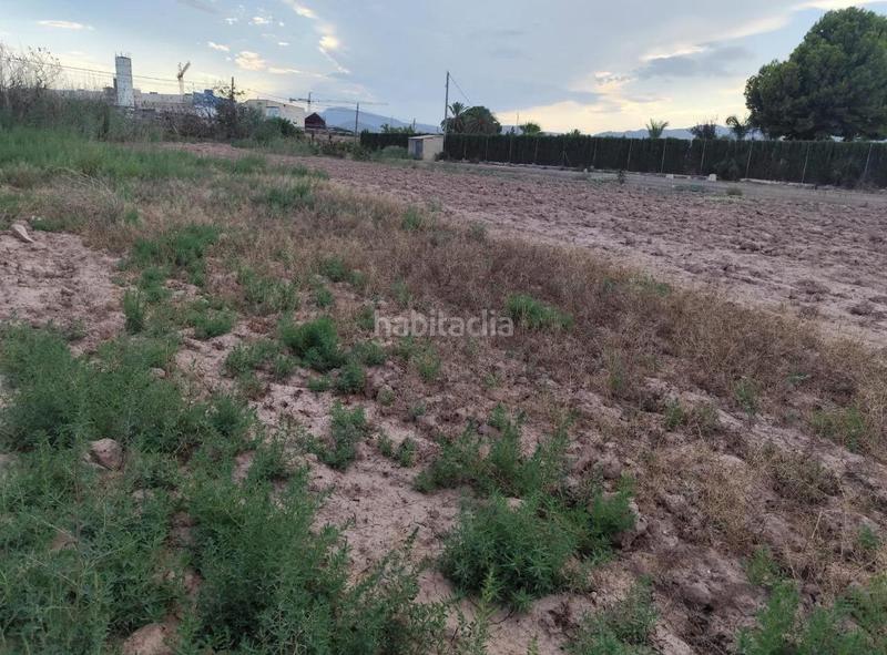 Foto 01f32a39-3cd0-4987-b9dc-e591489a9a12. Rural plot in Totana