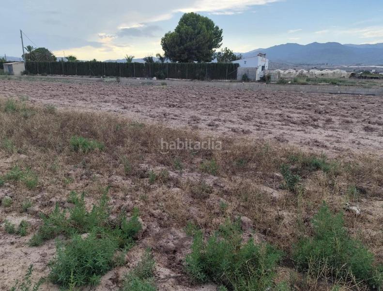 Foto 215ae388-ef90-4b98-be10-23dbd8aa0074. Rural plot in Totana