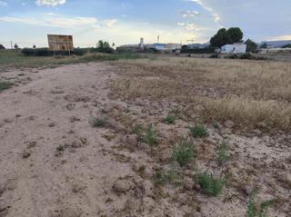 Finca rústica a Totana. Terreno en venta en el torrejón  totana.
