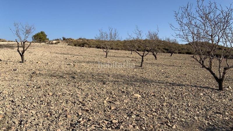 Foto 1c3316d0-8c81-4c3f-9577-0c5583864a34. Rural plot in Mazarrón casco urbano Mazarrón