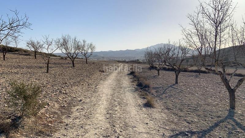 Foto 6f2a1096-5f73-40fe-9004-0fe297f305d4. Rural plot in Mazarrón casco urbano Mazarrón