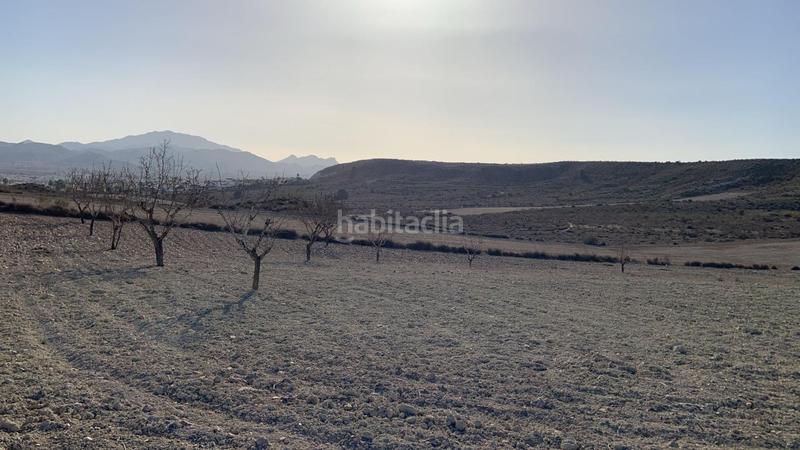 Foto bbf283fc-213f-40e3-95c9-bc7b8d5d54ab. Rural plot in Mazarrón casco urbano Mazarrón