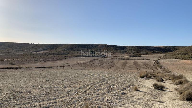 Foto c2fdfdda-8af6-41c4-b81f-6f29aa723469. Rural plot in Mazarrón casco urbano Mazarrón