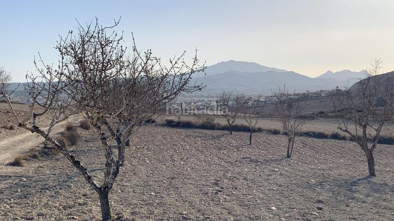 Foto d66f9845-8270-4a52-aebe-29c8adaddab6. Rural plot in Mazarrón casco urbano Mazarrón