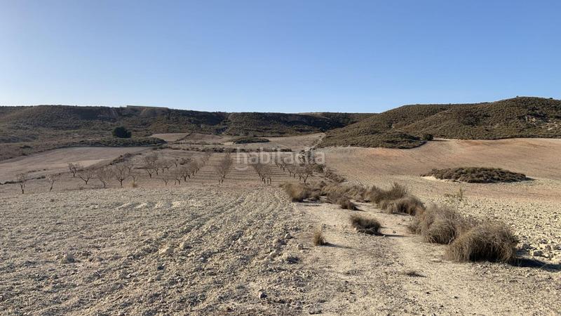 Foto d7ea8895-31ef-47a9-86d5-ac791d09e368. Rural plot in Mazarrón casco urbano Mazarrón