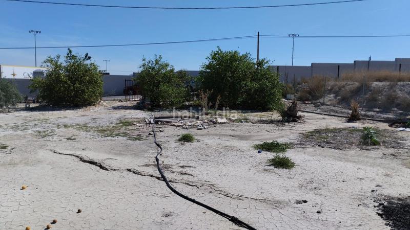 Foto 2cdc6344-15bb-4438-9061-729e53a27f49. Fondo rustico in Centro Molina de Segura